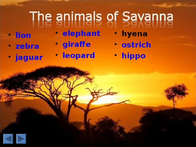 elephant  giraffe leopard  hyena  ostrich hippo  hyena  ostrich hippo  lion  zebra jaguar  