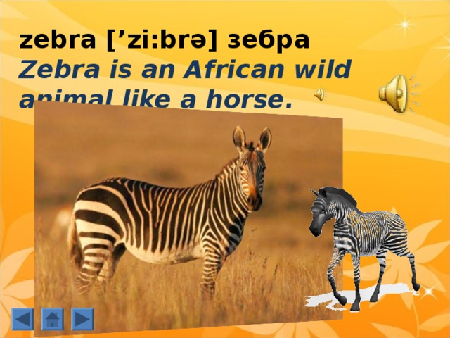 zebra [ ’zi:brə] зебра  Zebra is an African wild animal like a horse.  