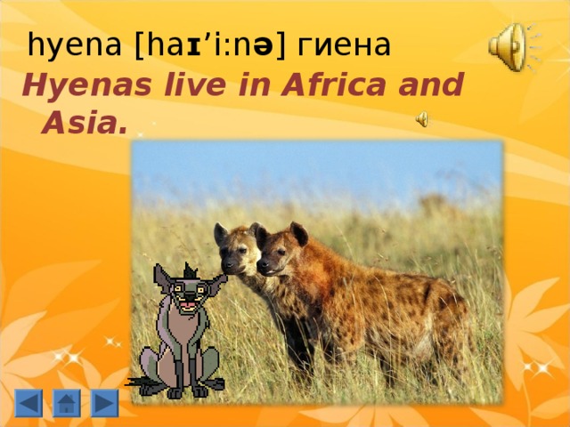 h yena [ha ɪ ’i:n ə ] гиена   Hyenas live in Africa and Asia. 