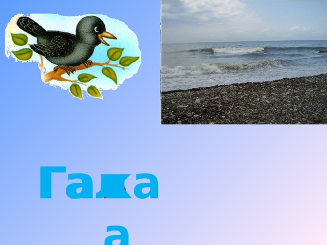 ка ь ка Гал Гал 