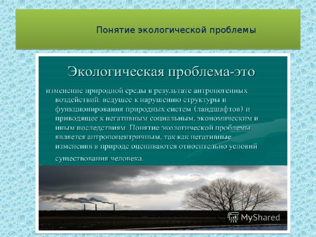  Понятие экологической проблемы 