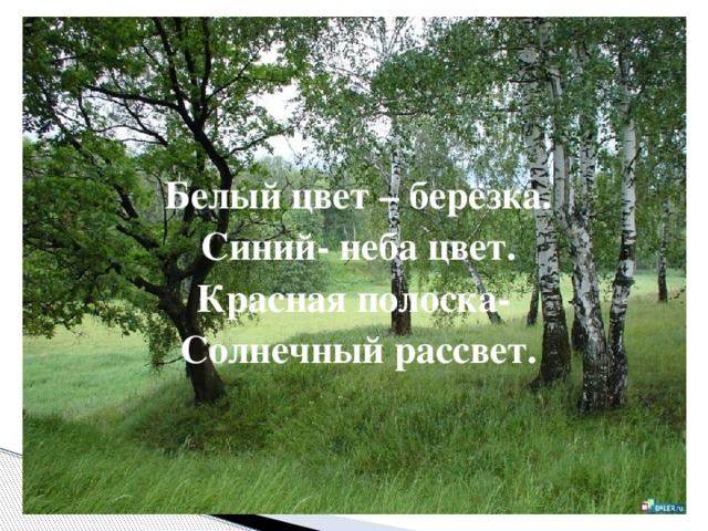  Белый цвет – берёзка. Синий- неба цвет. Красная полоска- Солнечный рассвет. 