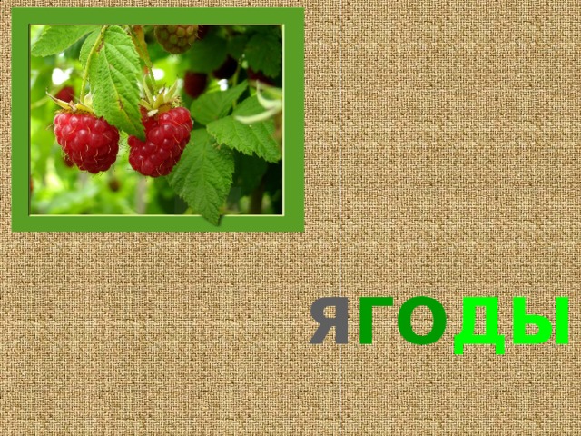Я ГО ДЫ 