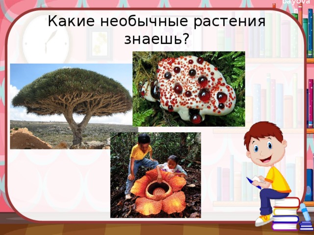 Какие необычные растения знаешь?