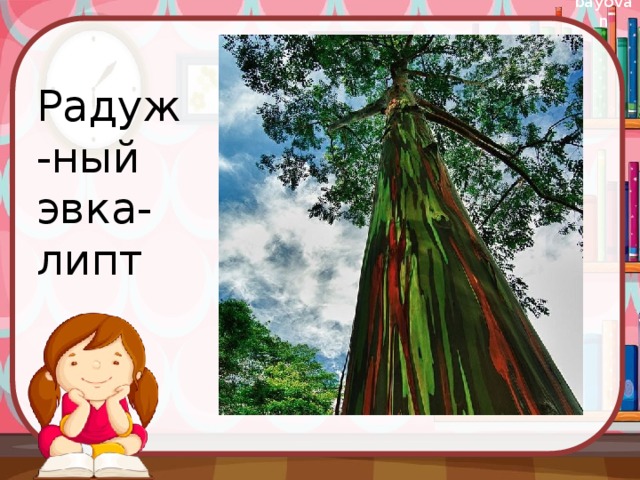 Радуж-ный эвка-липт