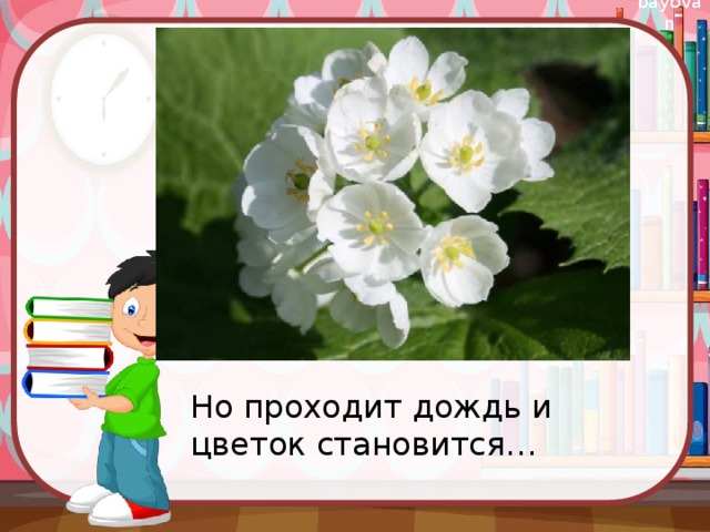 Но проходит дождь и цветок становится…