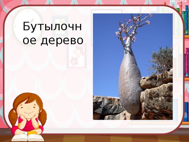 Бутылочное дерево