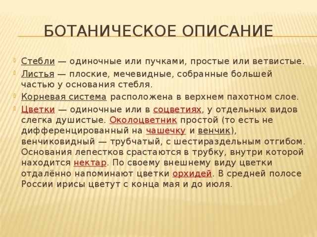 Ботаническое описание Стебли  — одиночные или пучками, простые или ветвистые. Листья  — плоские, мечевидные, собранные большей частью у основания стебля. Корневая система  расположена в верхнем пахотном слое. Цветки  — одиночные или в  соцветиях , у отдельных видов слегка душистые.  Околоцветник  простой (то есть не дифференцированный на  чашечку  и  венчик ), венчиковидный — трубчатый, с шестираздельным отгибом. Основания лепестков срастаются в трубку, внутри которой находится  нектар . По своему внешнему виду цветки отдалённо напоминают цветки  орхидей . В средней полосе России ирисы цветут с конца мая и до июля. 