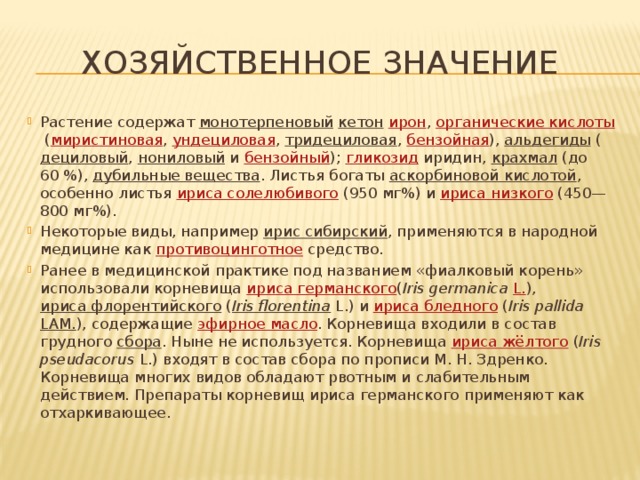Хозяйственное значение Растение содержат  монотерпеновый   кетон   ирон ,  органические кислоты  ( миристиновая ,  ундециловая ,  тридециловая ,  бензойная ),  альдегиды  ( дециловый ,  нониловый  и  бензойный );  гликозид  иридин,  крахмал  (до 60 %),  дубильные вещества . Листья богаты  аскорбиновой кислотой , особенно листья  ириса солелюбивого  (950 мг%) и  ириса низкого  (450—800 мг%). Некоторые виды, например  ирис сибирский , применяются в народной медицине как  противоцинготное  средство. Ранее в медицинской практике под названием «фиалковый корень» использовали корневища  ириса германского ( Iris germanica   L. ),  ириса флорентийского  ( Iris florentina   L. ) и  ириса бледного  ( Iris pallida   Lam. ), содержащие  эфирное масло . Корневища входили в состав грудного  сбора . Ныне не используется. Корневища  ириса жёлтого  ( Iris pseudacorus   L. ) входят в состав сбора по прописи М. Н. Здренко. Корневища многих видов обладают рвотным и слабительным действием. Препараты корневищ ириса германского применяют как отхаркивающее. 