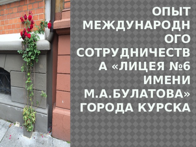     Опыт международного сотрудничества «Лицея №6 имени М.А.Булатова» города Курска   