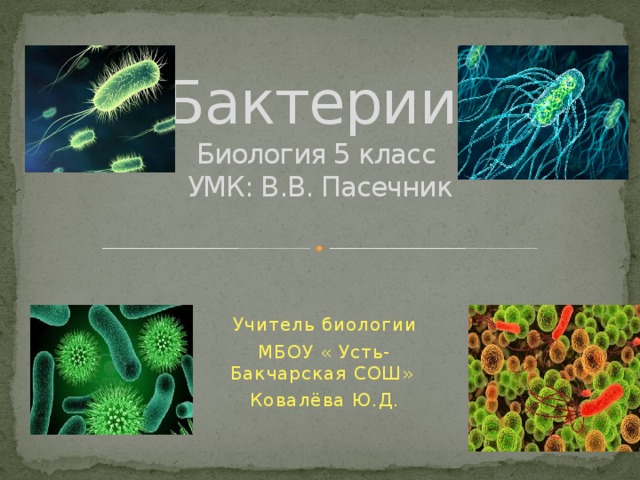 Бактерии.  Биология 5 класс  УМК: В.В. Пасечник Учитель биологии МБОУ « Усть-Бакчарская СОШ» Ковалёва Ю.Д. 