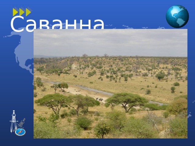Саванна 