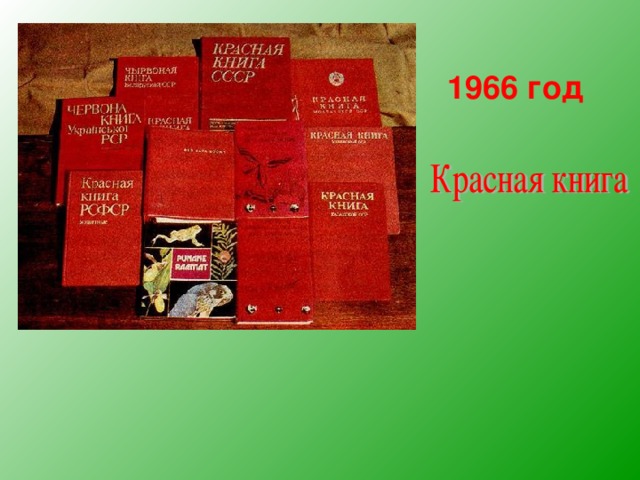 1966 год 
