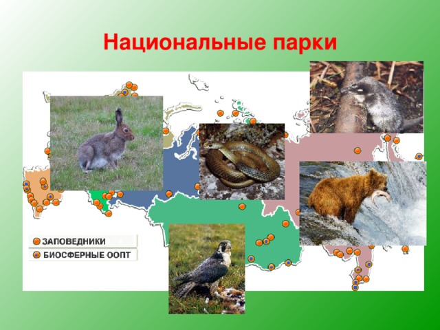 Национальные парки 
