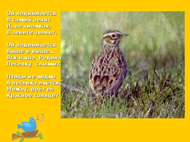 Он поднимается В самый зенит И, не смолкая, В зените звенит.  Он поднимается Выше и выше… Вся наша Родина Песенку слышит.  Птицы не видно А песенка льётся, Может, поёт её Красное солнце?  