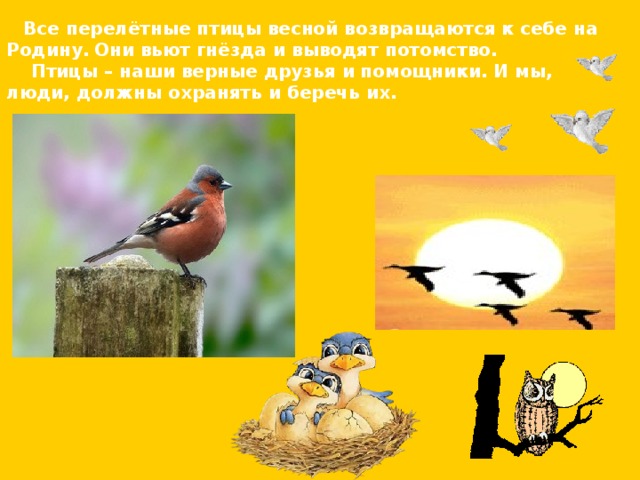  Все перелётные птицы весной возвращаются к себе на  Родину.  Они вьют гнёзда и выводят потомство.  Птицы – наши верные друзья и помощники. И мы, люди, должны охранять и беречь их.  