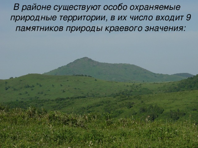 В районе существуют особо охраняемые природные территории, в их число входит 9 памятников природы краевого значения: 