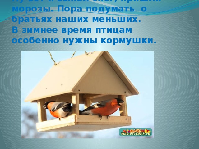 Ну вот и выпал снег, пришли морозы. Пора подумать  о братьях наших меньших.  В зимнее время птицам особенно нужны кормушки.   