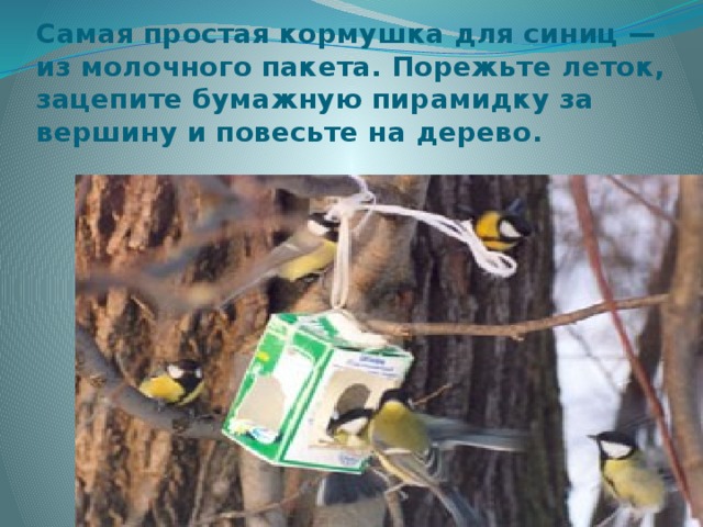 Самая простая кормушка для синиц — из молочного пакета. Порежьте леток, зацепите бумажную пирамидку за вершину и повесьте на дерево.   