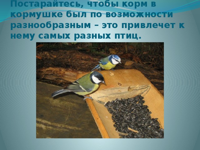Постарайтесь, чтобы корм в кормушке был по возможности разнообразным – это привлечет к нему самых разных птиц. 