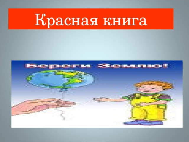 Красная книга 