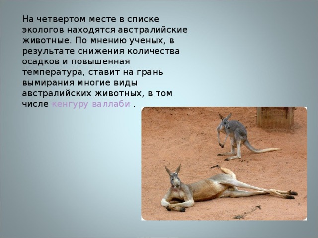 На четвертом месте в списке экологов находятся австралийские животные. По мнению ученых, в результате снижения количества осадков и повышенная температура, ставит на грань вымирания многие виды австралийских животных, в том числе кенгуру валлаби . 