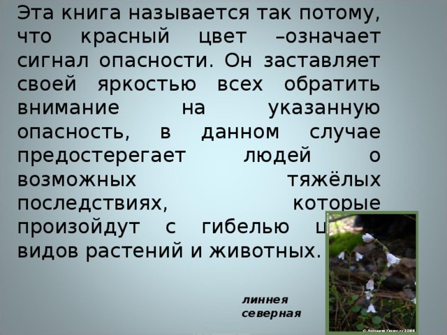 Эта книга называется так потому, что красный цвет –означает сигнал опасности. Он заставляет своей яркостью всех обратить внимание на указанную опасность, в данном случае предостерегает людей о возможных тяжёлых последствиях, которые произойдут с гибелью целых видов растений и животных. линнея северная                                         