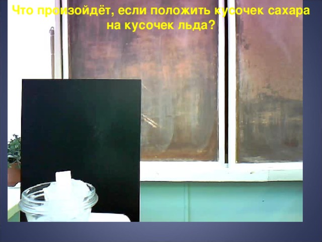 Что произойдёт, если положить кусочек сахара на кусочек льда? 