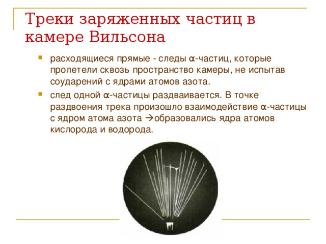 Треки заряженных частиц в камере Вильсона   расходящиеся прямые - следы α -частиц, которые пролетели сквозь пространство камеры, не испытав соударений с ядрами атомов азота. след одной α -частицы раздваивается. В точке раздвоения трека произошло взаимодействие α -частицы с ядром атома азота  образовались ядра атомов кислорода и водорода.  