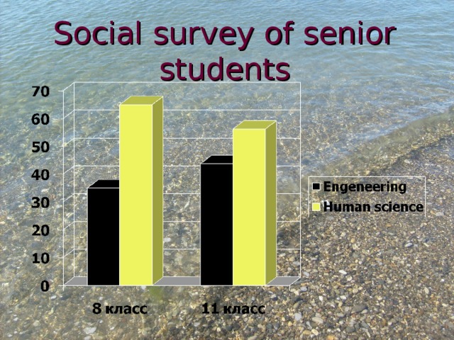 Social survey of senior students   