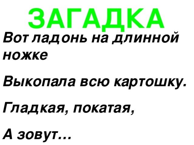 ЗАГАДКА Вот ладонь на длинной ножке Выкопала всю картошку. Гладкая, покатая, А зовут… 