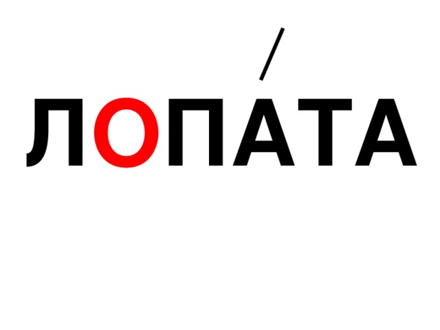 Л О ПАТА 