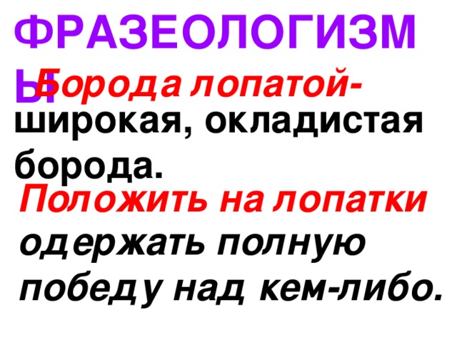 ФРАЗЕОЛОГИЗМЫ Борода лопатой- широкая, окладистая борода. Положить на лопатки одержать полную победу над кем-либо. 