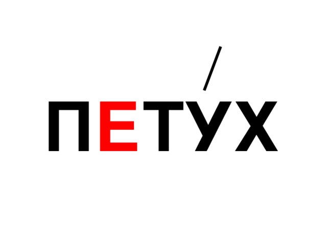 П Е ТУХ 