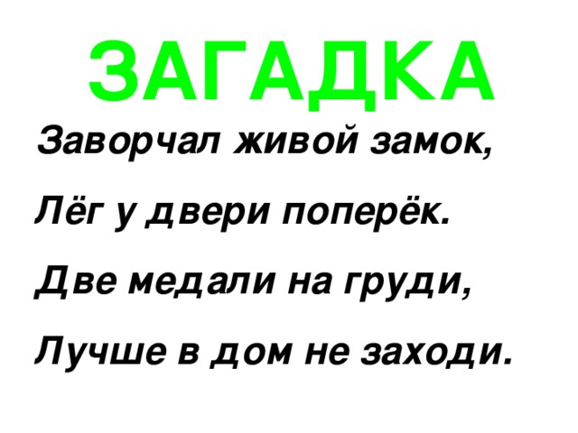 ЗАГАДКА Заворчал живой замок, Лёг у двери поперёк. Две медали на груди, Лучше в дом не заходи.  
