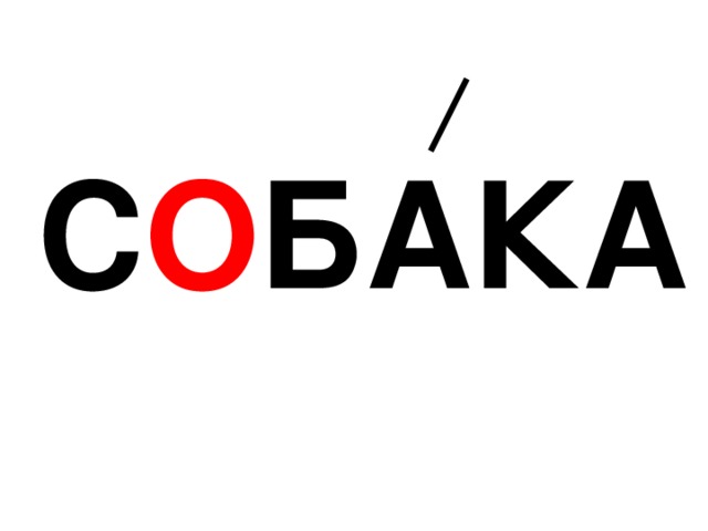 С О БАКА 
