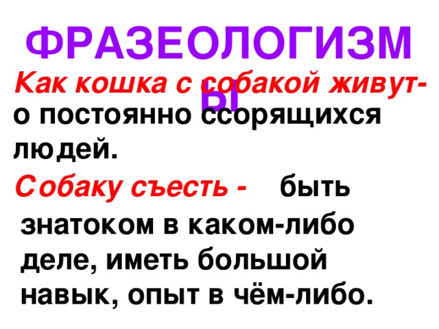 ФРАЗЕОЛОГИЗМЫ Как кошка с собакой живут- о постоянно ссорящихся людей. Собаку съесть - быть знатоком в каком-либо деле, иметь большой навык, опыт в чём-либо. 