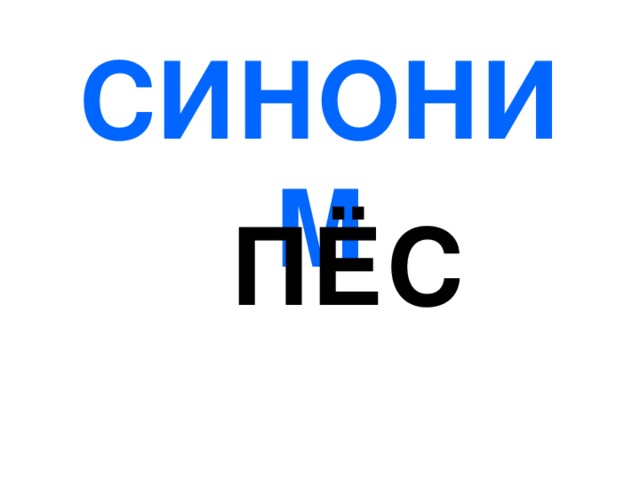 СИНОНИМ ПЁС 