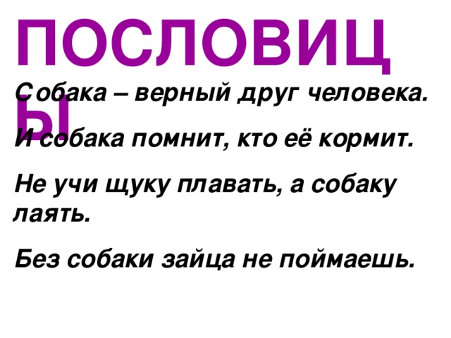 ПОСЛОВИЦЫ Собака – верный друг человека. И собака помнит, кто её кормит. Не учи щуку плавать, а собаку лаять. Без собаки зайца не поймаешь. 