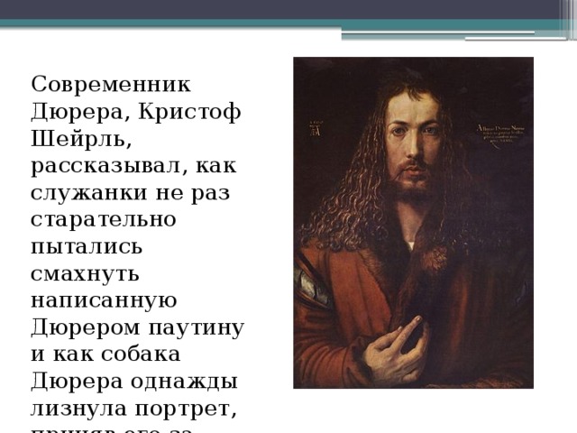 Современник Дюрера, Кристоф Шейрль, рассказывал, как служанки не раз старательно пытались смахнуть написанную Дюрером паутину и как собака Дюрера однажды лизнула портрет, приняв его за хозяина.  