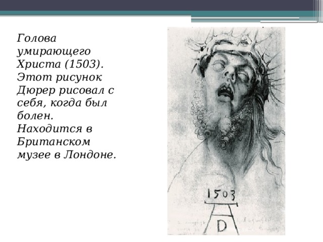 Голова умирающего Христа (1503). Этот рисунок Дюрер рисовал с себя, когда был болен. Находится в Британском музее в Лондоне. 