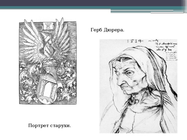 Герб Дюрера. Портрет старухи. 