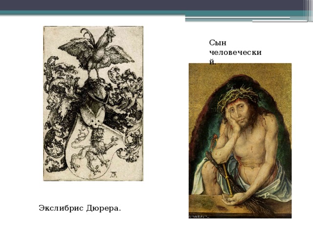 Сын человеческий. Экслибрис Дюрера. 