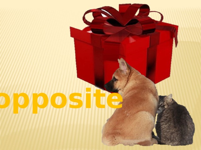 opposite 