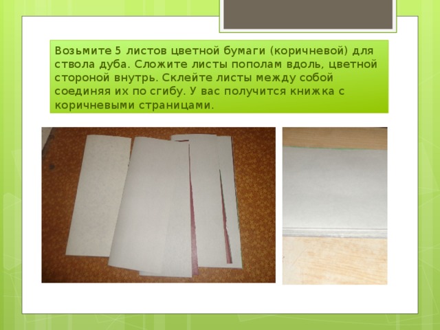 Возьмите 5 листов цветной бумаги (коричневой) для ствола дуба. Сложите листы пополам вдоль, цветной стороной внутрь. Склейте листы между собой соединяя их по сгибу. У вас получится книжка с коричневыми страницами. 