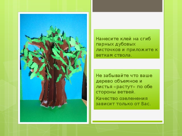 Нанесите клей на сгиб парных дубовых листочков и приложите к веткам ствола. Не забывайте что ваше дерево объемное и листья «растут» по обе стороны ветвей. Качество озеленения зависит только от Вас. 