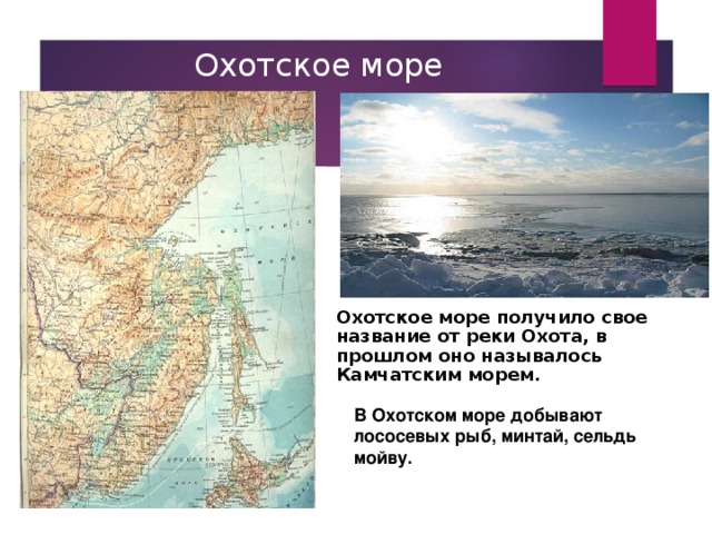  Охотское море Охотское море получило свое название от реки Охота, в прошлом оно называлось Камчатским морем. В Охотском море добывают лососевых рыб, минтай, сельдь мойву. 