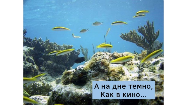 А на дне темно,  Как в кино... 