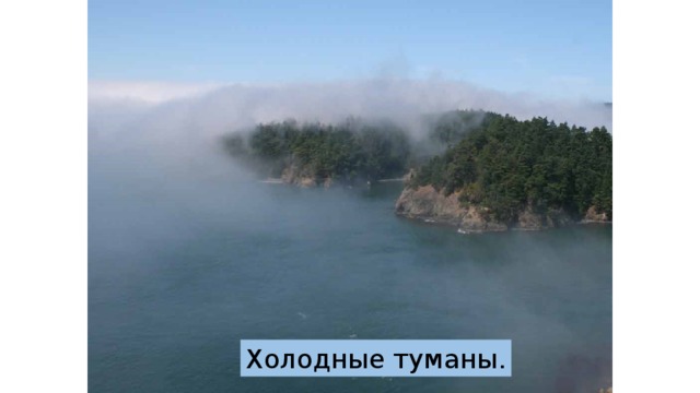 Холодные туманы. 