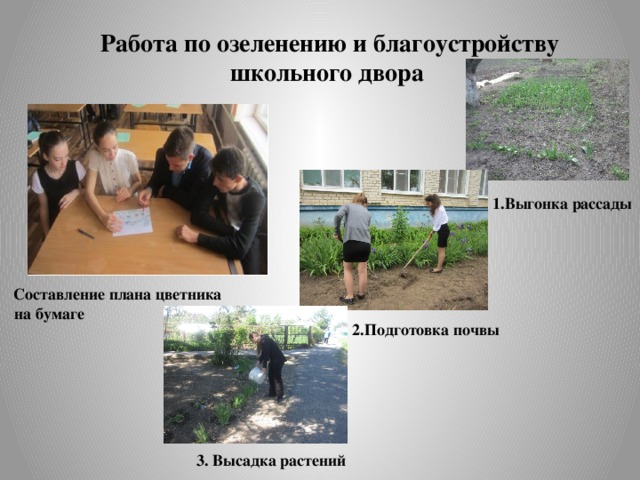 Работа по озеленению и благоустройству школьного двора 1.Выгонка рассады Составление плана цветника  на бумаге 2.Подготовка почвы 3. Высадка растений 